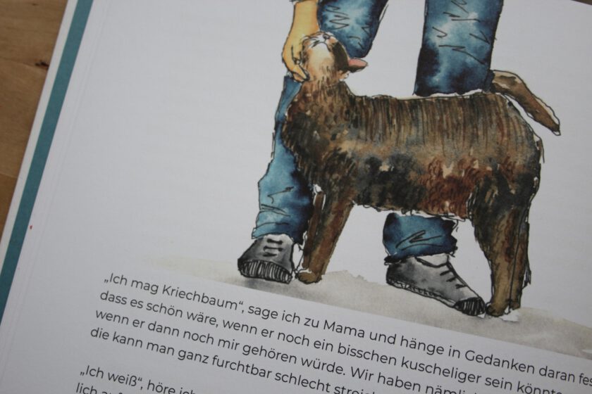 Trillfox im Moor - Mönkel Band 2 Detailaufnahme einer Illustration aus "Der Mönkel und der Trillfox im Moor" der Katze Kriechbaum.