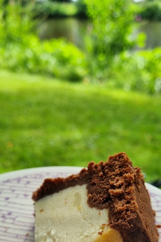 Ein Stück veganer Käsekuchen  vor grüner Kulisse.